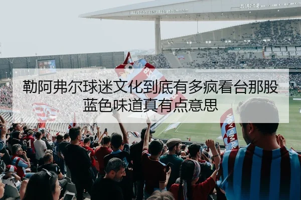 勒阿弗尔球迷文化到底有多疯看台那股蓝色味道真有点意思