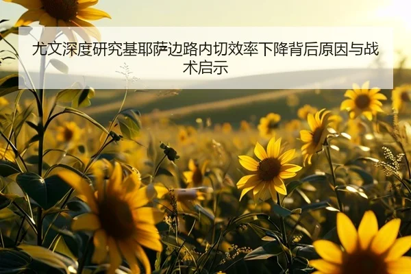 尤文深度研究基耶萨边路内切效率下降背后原因与战术启示