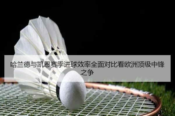 哈兰德与凯恩赛季进球效率全面对比看欧洲顶级中锋之争